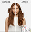 PREMIÈRE FINE TO MEDIUM REPAIRING HAIR CARE SET - Current Salon