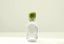 Desertlamd Fragrance - Current Salon 