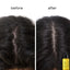 Essence Absolue Pre-Shampoo & Nourishing Treatment Oil for Scalp & Hair 50ML - Current Salon